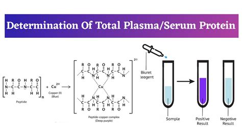 refractometer protein units|total protein calculation formula.